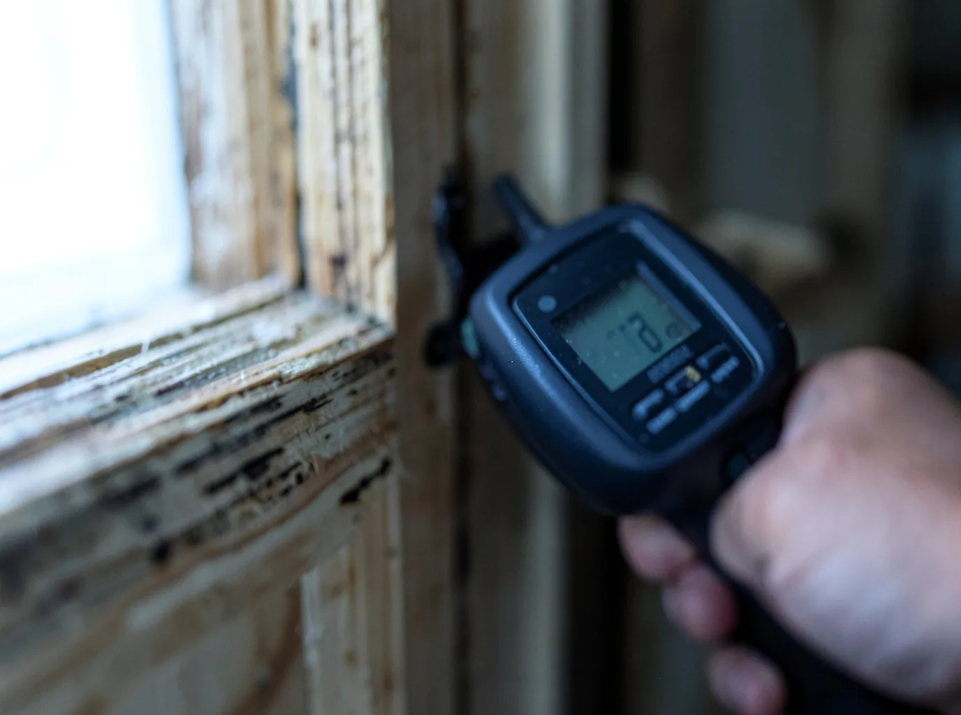 Moisture Inspection And Documentation in Beccaria, PA